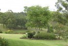 Banyuleresidential-landscaping-40.jpg; ?>